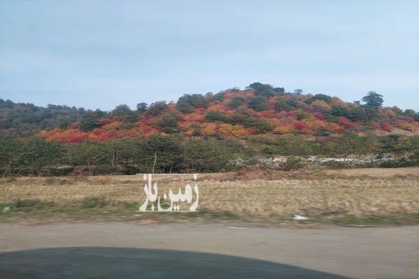 زمین دارای پروانه جاده اسالم به خلخال روستای چخره محله-1