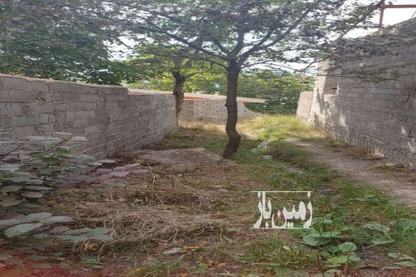 زمین ییلاقی واقع در کوه امیری وانا-1