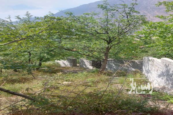 زمین ییلاقی واقع در کوه امیری وانا-3