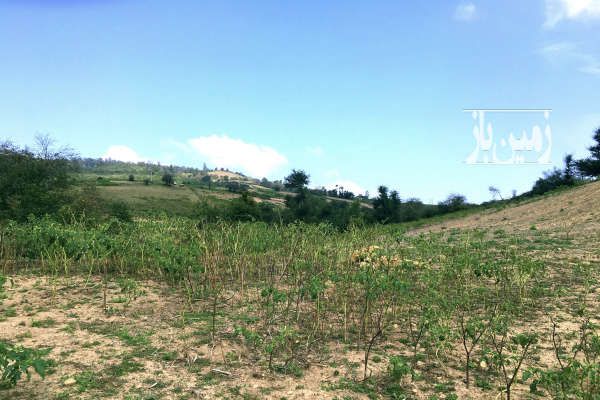 فروش زمین مسکونی ۵۲۲ متر روستای درم-1