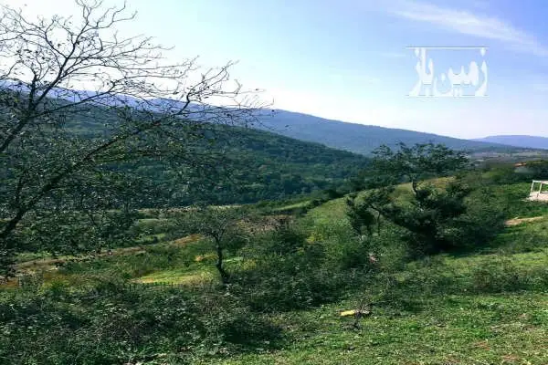 فروش زمین مسکونی ۵۲۲ متر روستای درم - تصویر 2
