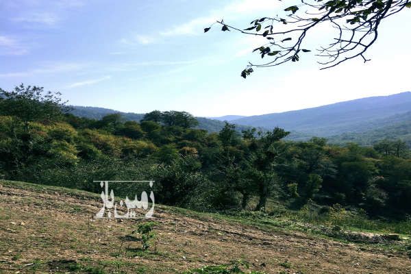 فروش زمین مسکونی ۵۲۲ متر روستای درم-3