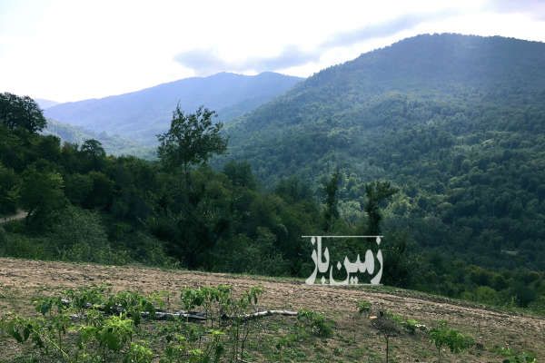 فروش زمین مسکونی ۵۲۲ متر روستای درم-4