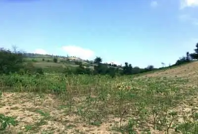 فروش زمین مسکونی ۵۲۲ متر روستای درم
