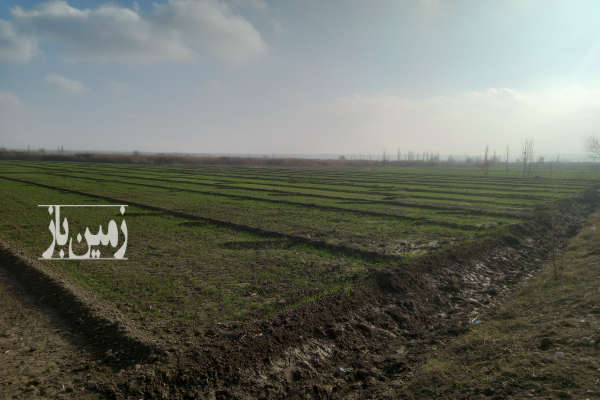 زمین در شوط روستای احمدآباد گدای کشاورزی-1