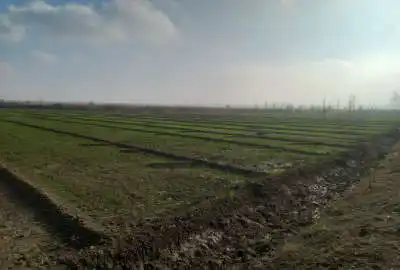 زمین در شوط روستای احمدآباد گدای کشاورزی
