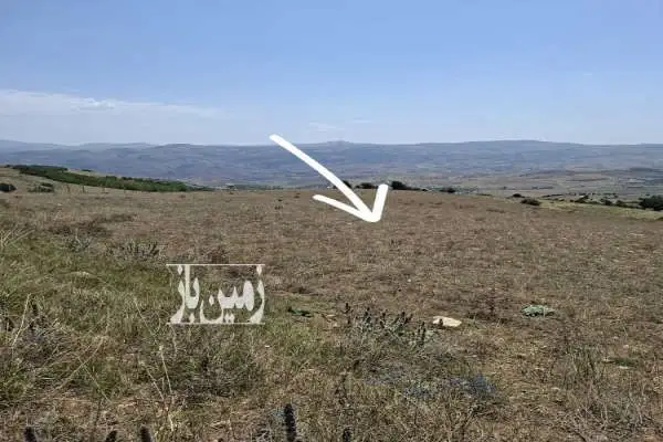 فروش زمین کشاورزی دیلمان روستای پش بالا - تصویر 2