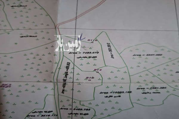 فروش زمین کشاورزی دیلمان روستای پش بالا-4