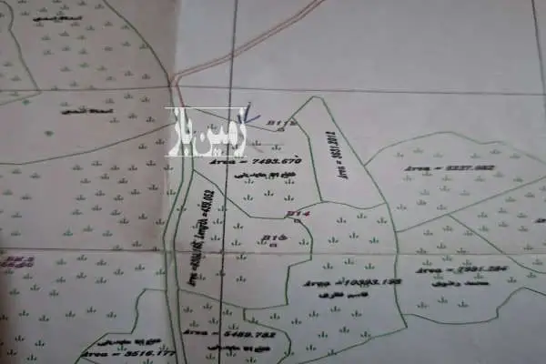 فروش زمین کشاورزی دیلمان روستای پش بالا - تصویر 3