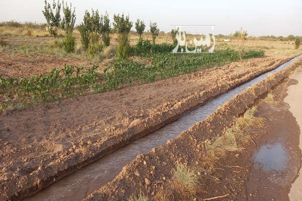 زمین با اب درخت استخر نزدیک کرمان درمحیط امن وارام-1