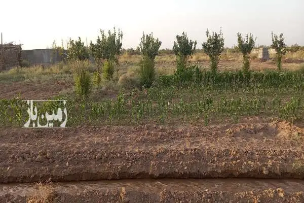 زمین با اب درخت استخر نزدیک کرمان درمحیط امن وارام - تصویر 4