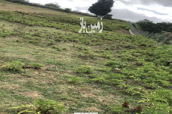 متراژ ۱۲۰۰متر زمین کشاورزی روستای گیله کلا علیا-1
