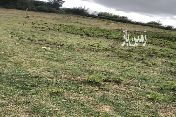 متراژ ۱۲۰۰متر زمین کشاورزی روستای گیله کلا علیا - تصویر 2