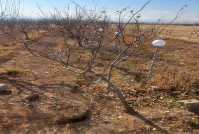 زمین نوبران بسمت همدان روستای خلیفه کندی