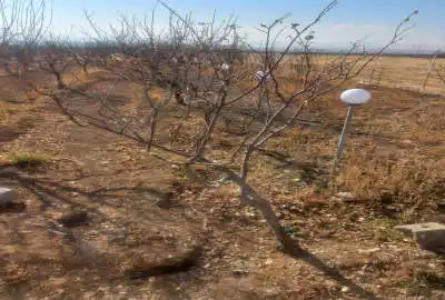 زمین نوبران بسمت همدان روستای خلیفه کندی