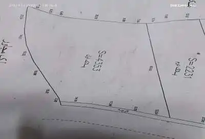 زمین در سوادکوه با ویوی عالی و کشاورزی
