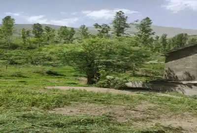زمین در جاده چالوس روستای کلها