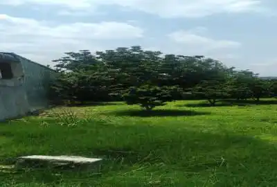 باغ توریستی با برق درونکلا شرغی