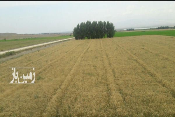 فروش زمین زراعی با آبیاری از رود ارس در روستای شیبلوی-1