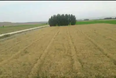 فروش زمین زراعی با آبیاری از رود ارس در روستای شیبلوی