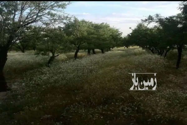 ویلا باغ در روستای خبر شهرستان شهربابک-2