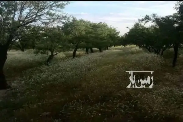 ویلا باغ در روستای خبر شهرستان شهربابک - تصویر 2