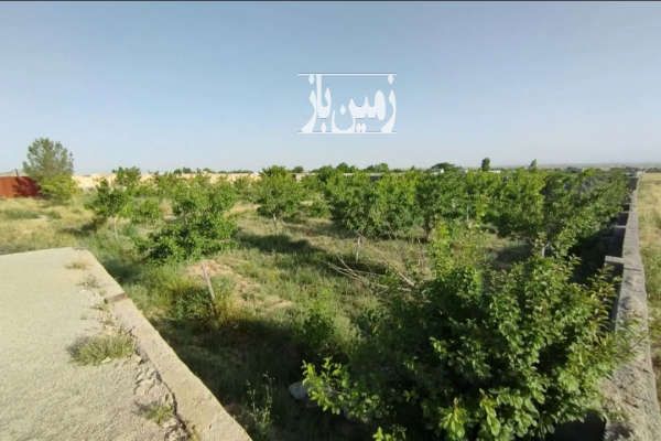 زمین روستای ماریان بعد از مجتمع پردیس-1