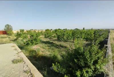 زمین روستای ماریان بعد از مجتمع پردیس
