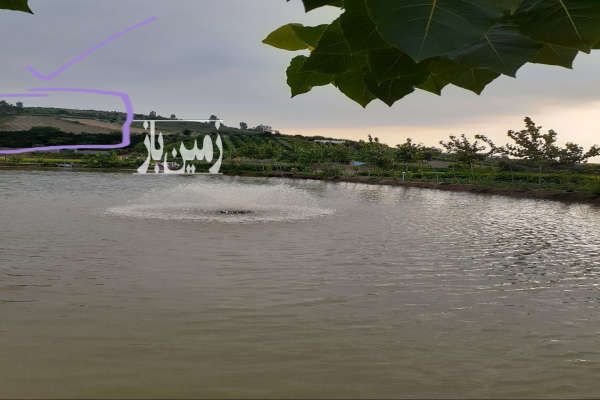 زمین کشاورزی دارای جاده مستقل با ویوی-1
