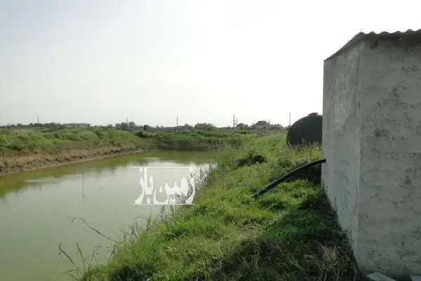 فرح آباد باغ مرکبات ۱۳ هکتار روستای شیرین بل - تصویر 4
