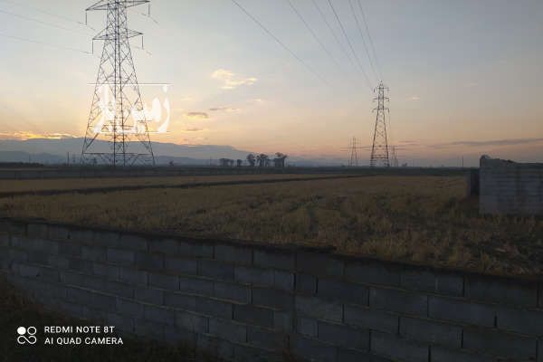 فروش زمین کشاورزی در بندپی غربی روستای پاریکلا سنگرودپی-1