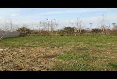 فروش زمین مسکونی ماسال روستای زیبای خانی کنار