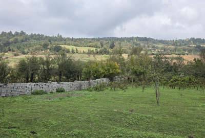 زمین مسکونی داخل بافت روستای سرسبز آق مشهد