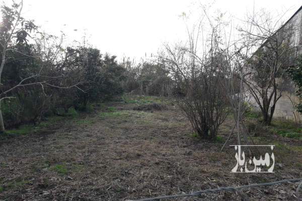 فروش زمین مسکونی گیلان لنگرود نالکیاشر روستای خالیاکل-1