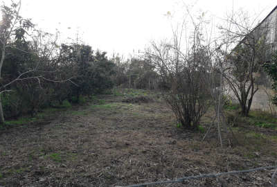فروش زمین مسکونی گیلان لنگرود نالکیاشر روستای خالیاکل