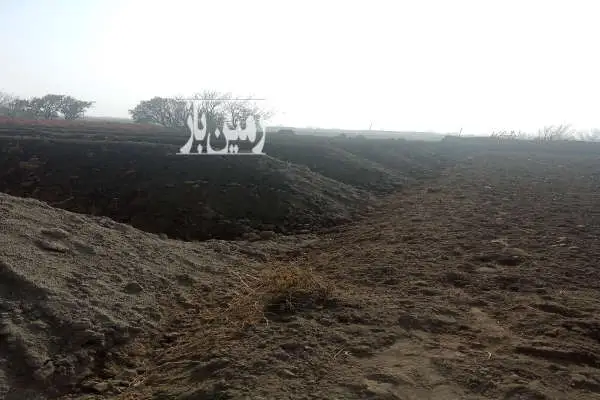 یک باغ انگور روستای قرچیبق - تصویر 2