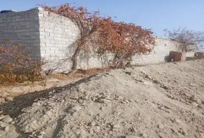 یک باغ انگور روستای قرچیبق