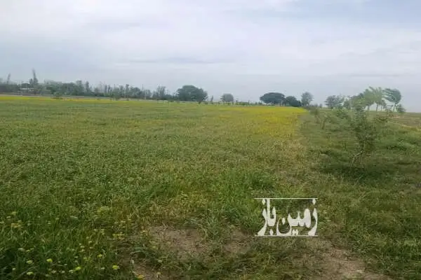 فروش زمین کشاورزی با سند تک برگ لب جاده - تصویر 1