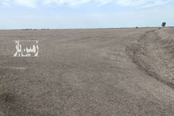 زمین سنددار در جاده بندر امیرآباد روستای قره تپه-1