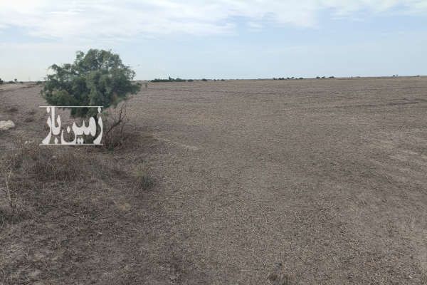 زمین سنددار در جاده بندر امیرآباد روستای قره تپه-2