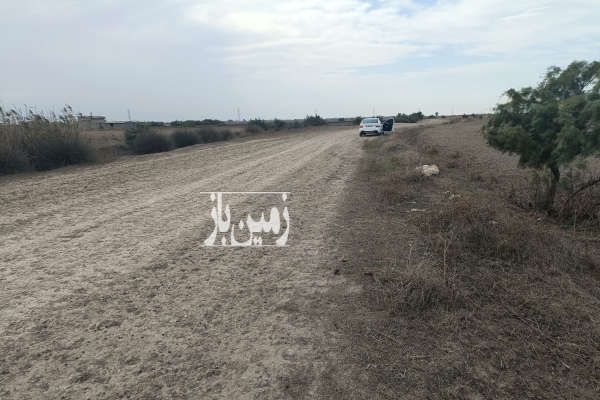 زمین سنددار در جاده بندر امیرآباد روستای قره تپه-4