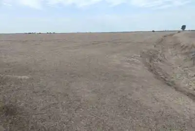 زمین سنددار در جاده بندر امیرآباد روستای قره تپه