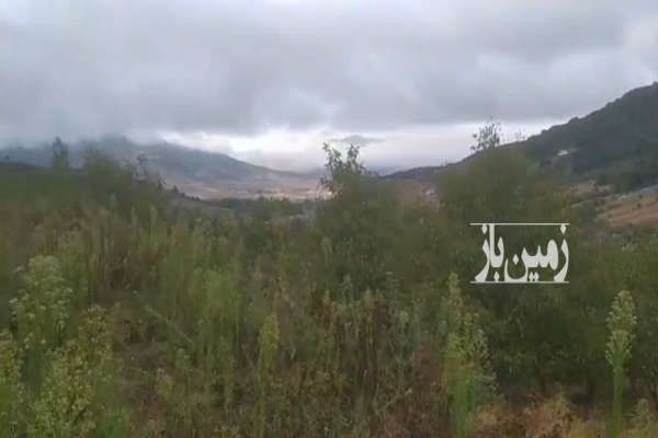 فروش زمین دارای درخت گردو زیر قیمت-1