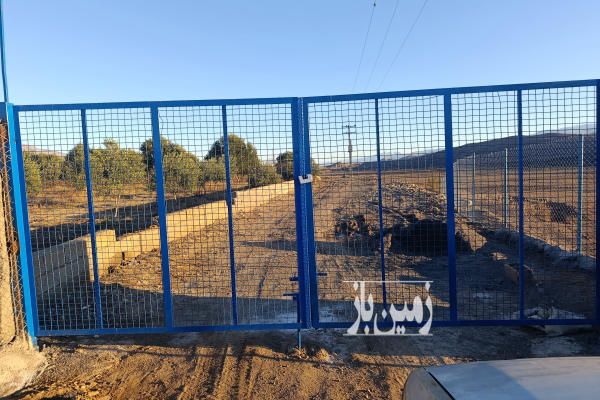فروش باغ زیتون در شهرستان طارم ۸۵۰۰ متر-4