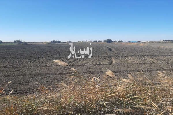فروش زمین بر اصلی جاده رستم کلاه به امیر آباد-3