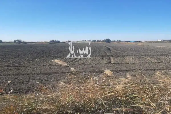 فروش زمین بر اصلی جاده رستم کلاه به امیر آباد - تصویر 2