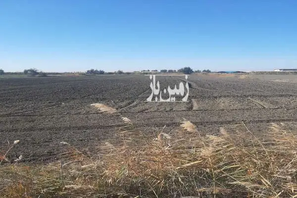 فروش زمین بر جاده اصلی رستم کلاه به امیر آباد - تصویر 2