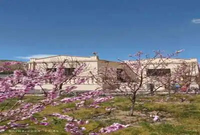 زمین و خانه باغ دشت ذونگان