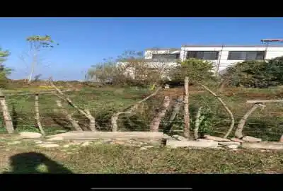 فروش زمین در چالوس به قیمت ۲۰۰ متر
