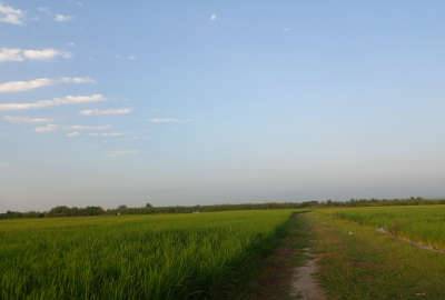 فروش زمین در بابل روستای هتکه پشت